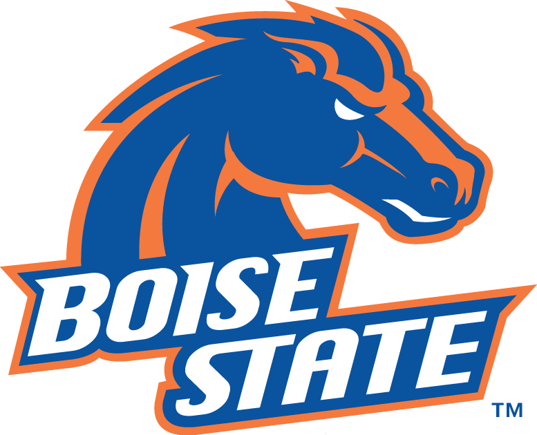 Boise State Broncos 2002-2012 Primary Logo DIY iron on transfer (heat transfer)